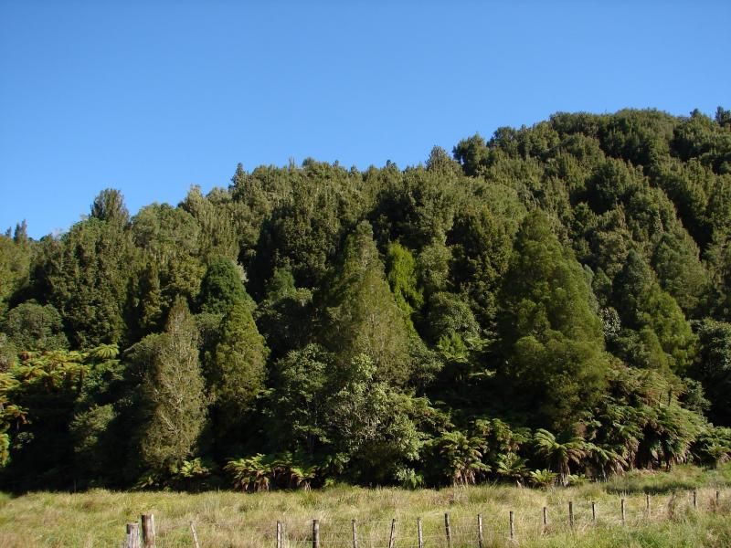 Mokauiti Road, Aria, Waitomo, 0 ห้องนอน, 1 ห้องน้ำ