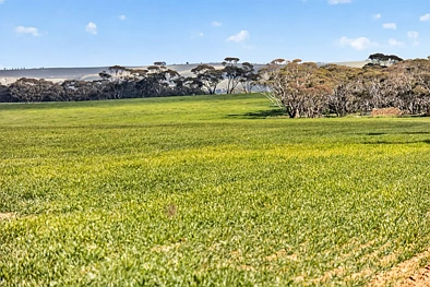 'Milde's' Keller Road, Point Pass, SA 5374, 0 slaapkamers, 0 badkamers, Lifestyle Property
