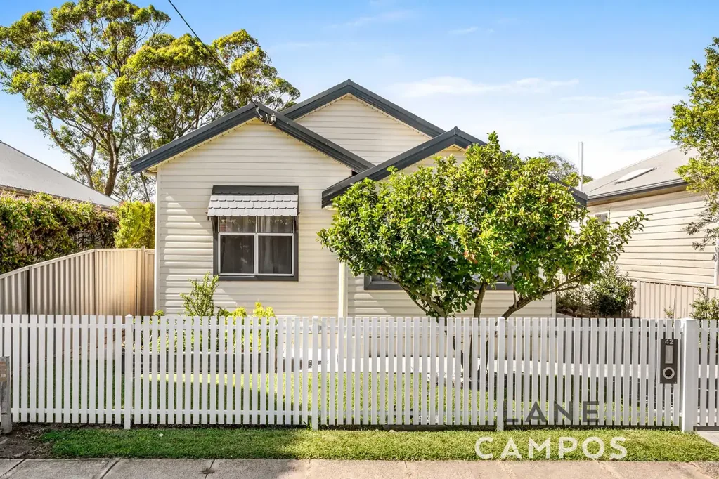 42 Braye Street, Mayfield, NSW 2304