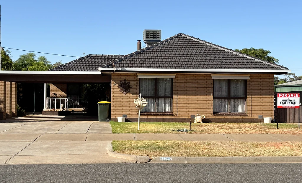 24 Hamilton Street, Sea Lake, VIC 3533