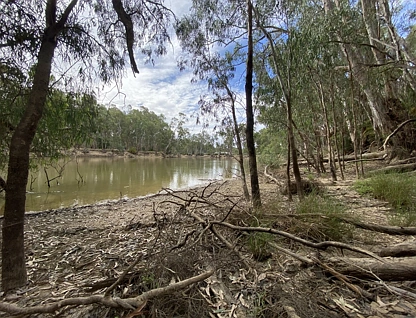 LOT 9 North Barham Road, Barham, Murray, 0 Schlafzimmer, 0 Badezimmer, Lifestyle Property