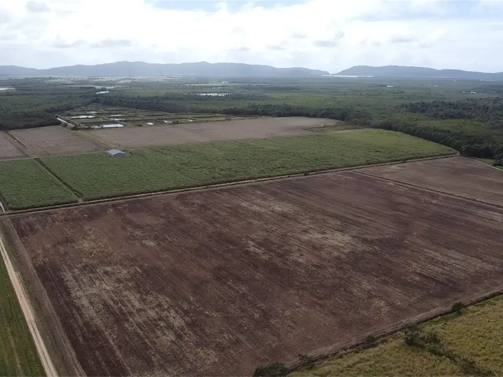 Cowley 187ha only 20km south of Innisfail