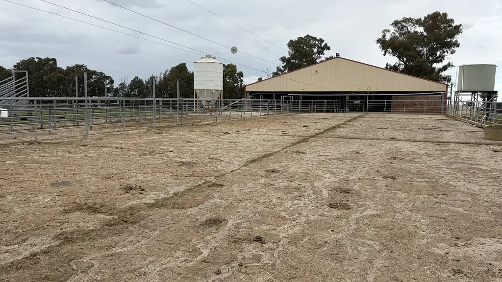 Tatura Highly Productive Dairy Farm with Outstanding Infrastructure on Town Boundary