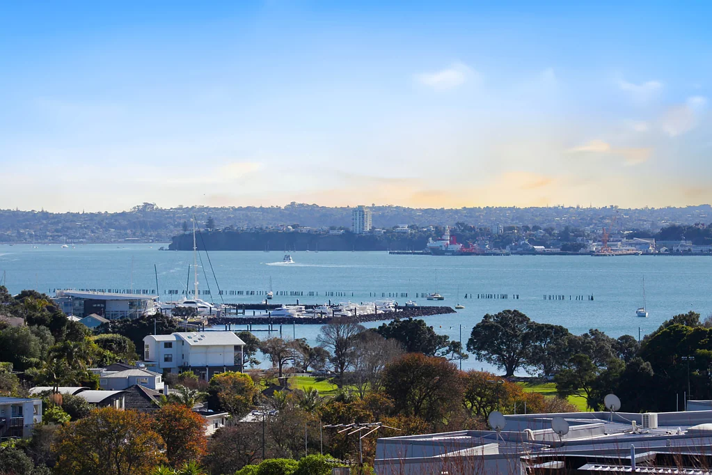 Orakei 5침실 What Price Do You Put on a Great View?