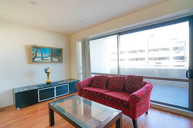 Prime Location Apartment Auckland City