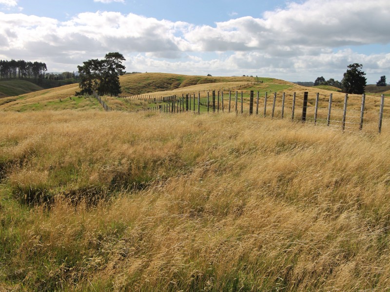 438 Tukairangi Road, Nukuhau, Taupo, 3 Bedrooms, 0 Bathrooms