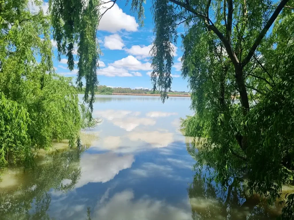 Tailem Bend 266 Acres. Over 1 Km of Murray River Frontage. Endless Possibilities.