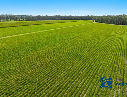 615 Neileys Lagoon Road, Bungawalbin, North Coast, 0 ਕਮਰੇ, 0 ਬਾਥਰੂਮ, Lifestyle Property