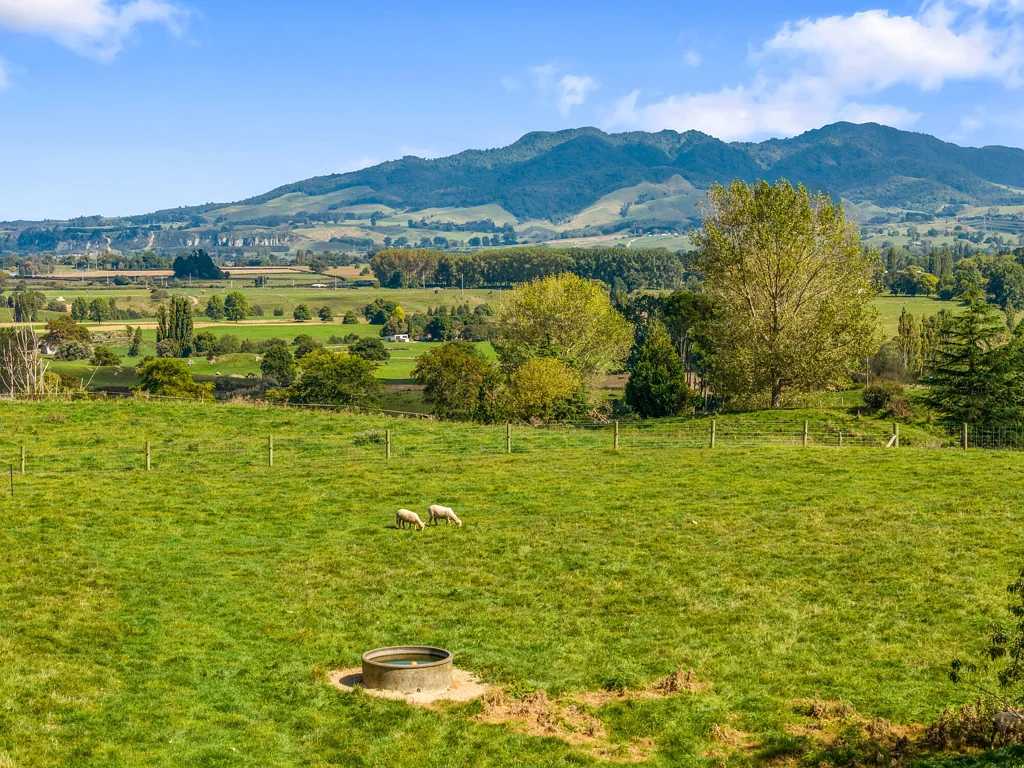 Putaruru  Picturesque views with endless potential