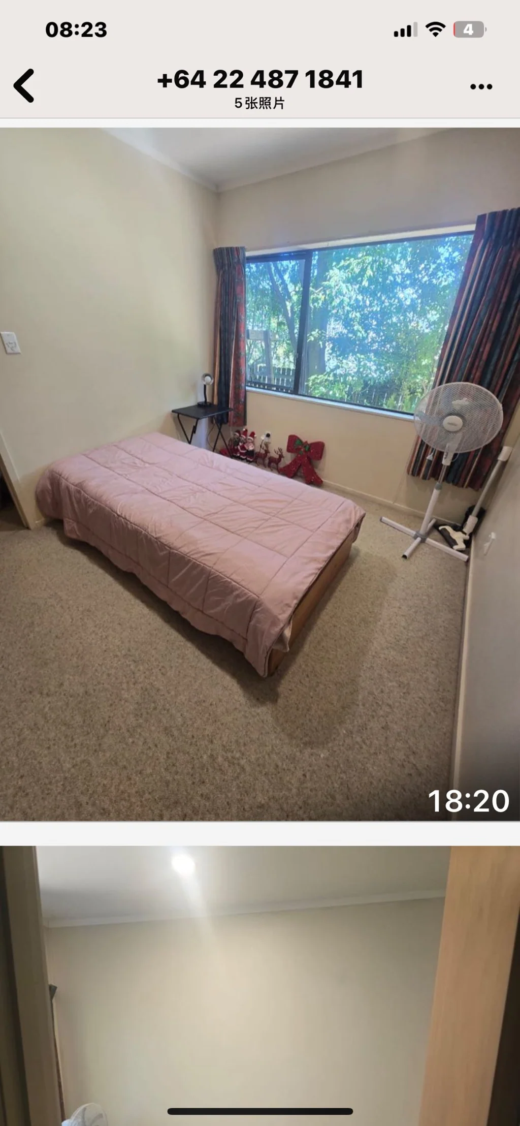 Auckland-双人房招租单人女生