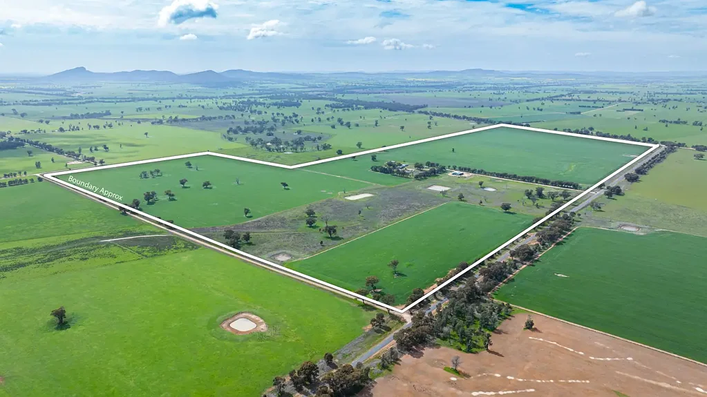 Yerong Creek "Glencairn" - Prime Rural Holding in the Heart of the Riverina