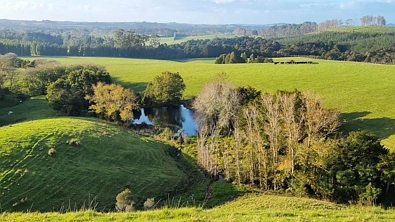 59f Riddell Road, Kerikeri, Far North District, 0 Bedrooms, 0 Bathrooms, Unspecified
