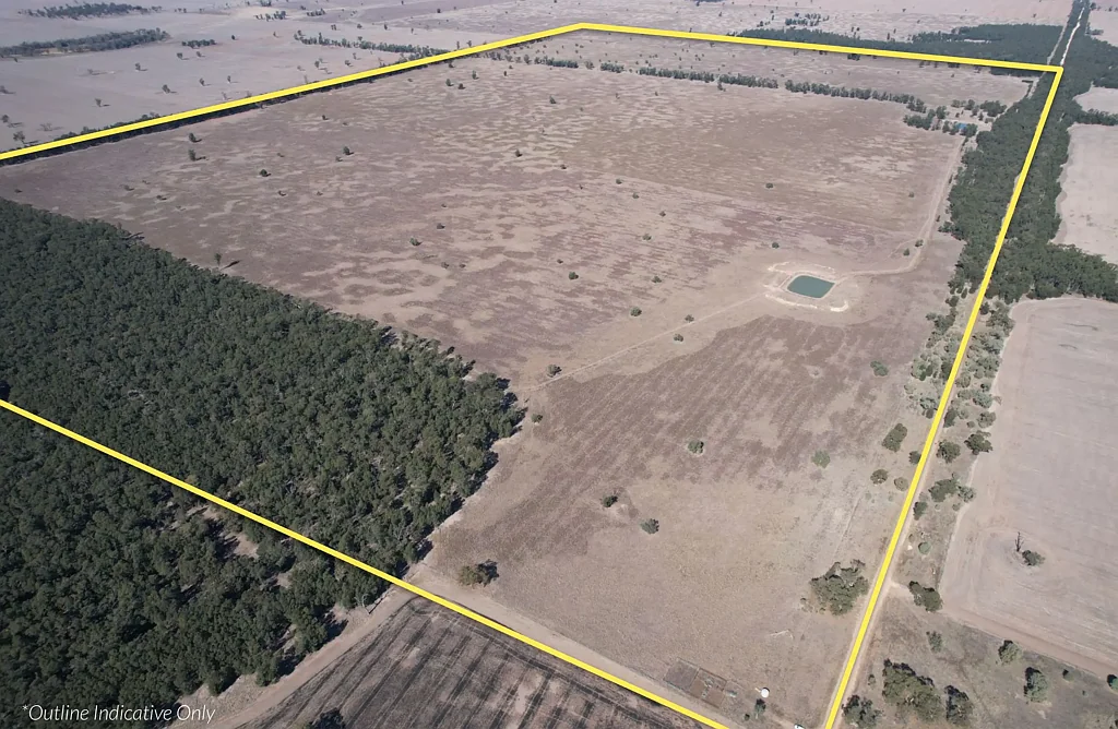 Barmedman 761 acres Mixed Farming - 'Netherby' Barmedman, NSW