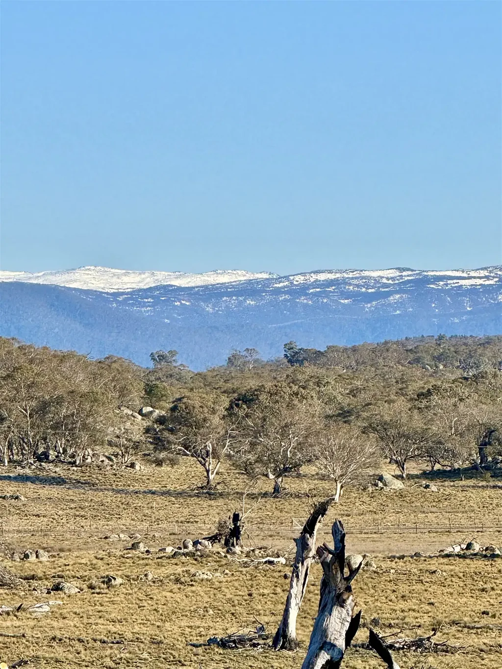 Avonside Winter Hill-Snowy Mountains