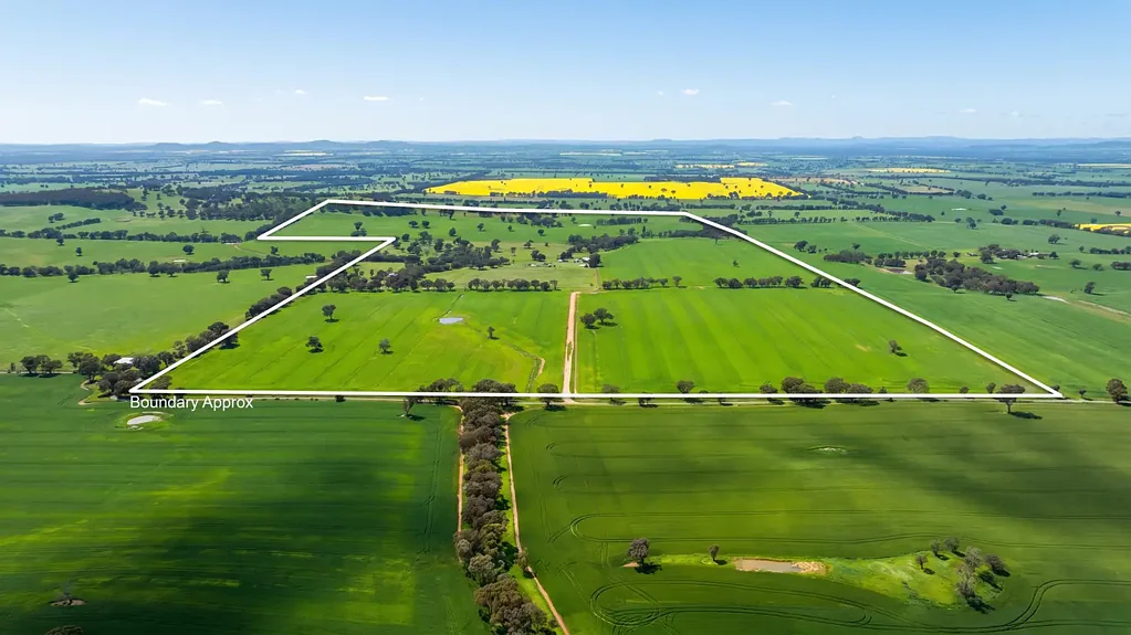 Henty "Green Lane"