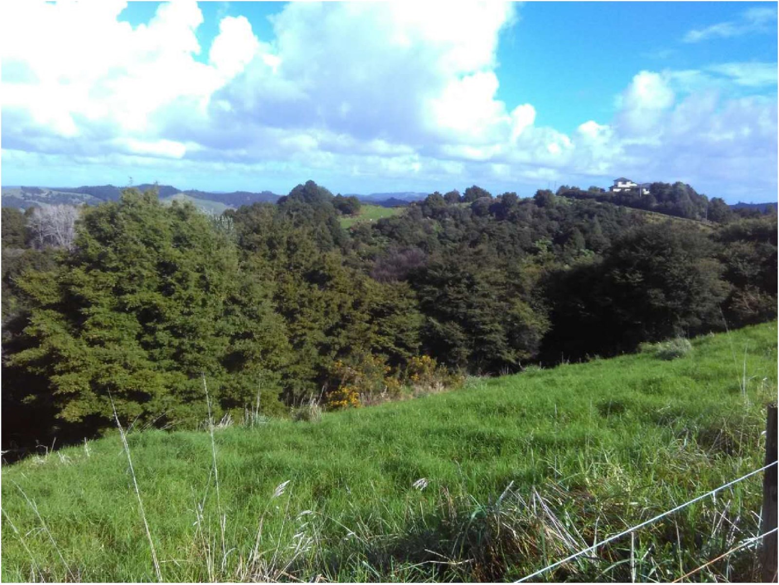 110 Green Hollows Road, Puhoi, Auckland - Rodney, 0 rūma, 0 rūma horoi