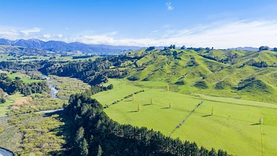 1139 Blackburn Road, Ongaonga, Central Hawkes Bay, 3 Bedrooms, 1 Bathrooms, Grazing