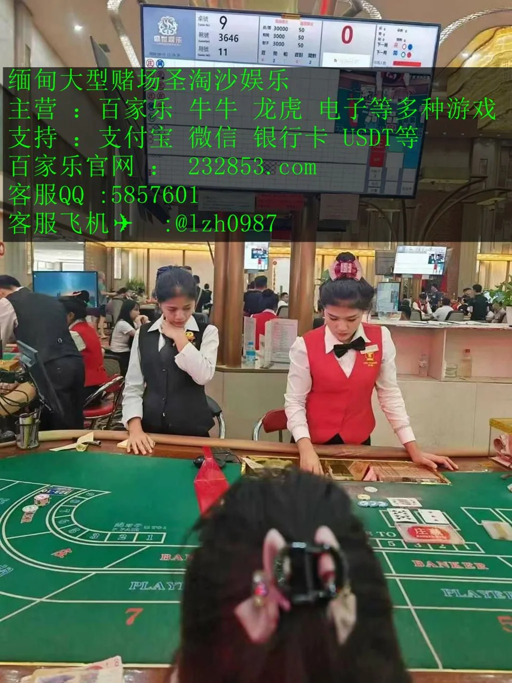 新世纪国际赌场中心在线开户经理QQ：5857601