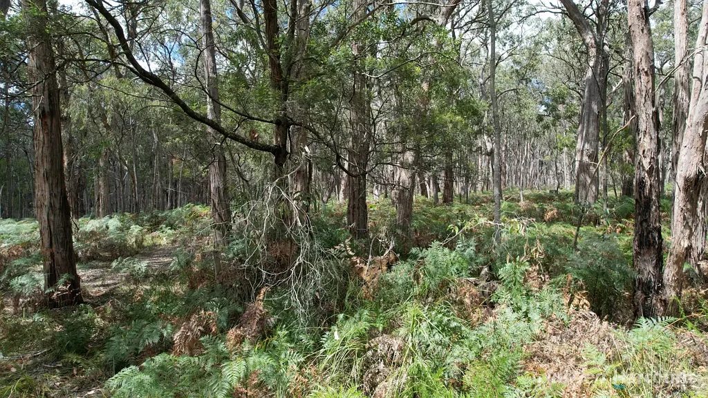 Myamyn  Myamyn East - Your Conservation Haven - 239 acres