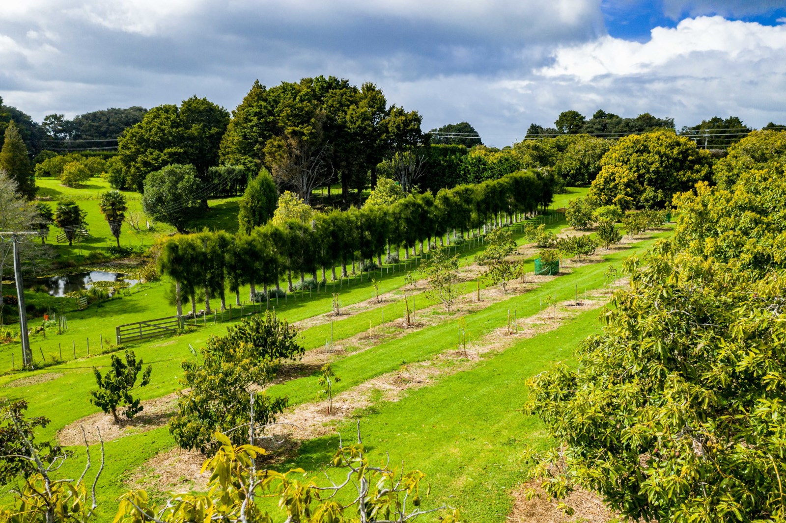 266 Cemetery Road, Maunu, Whangarei, 3 Kuwarto, 0 Banyo