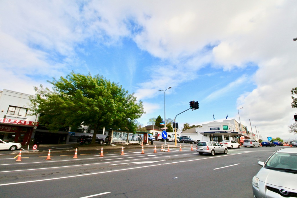 889 New North Road, Mount Albert, Auckland, 0部屋, 0バスルーム