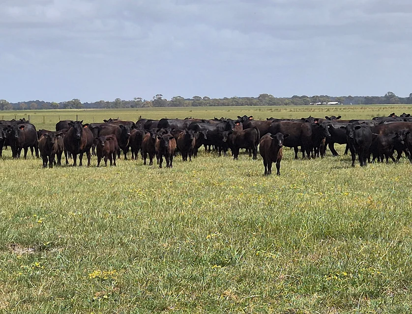 Murra Murra, 2866 Fisheries Road, Merivale, Outback (South), 0 Kuwarto, 0 Banyo, Lifestyle Property