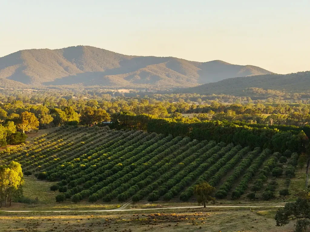 Moorngag  100 acre oasis 15 minutes from Hume Freeway