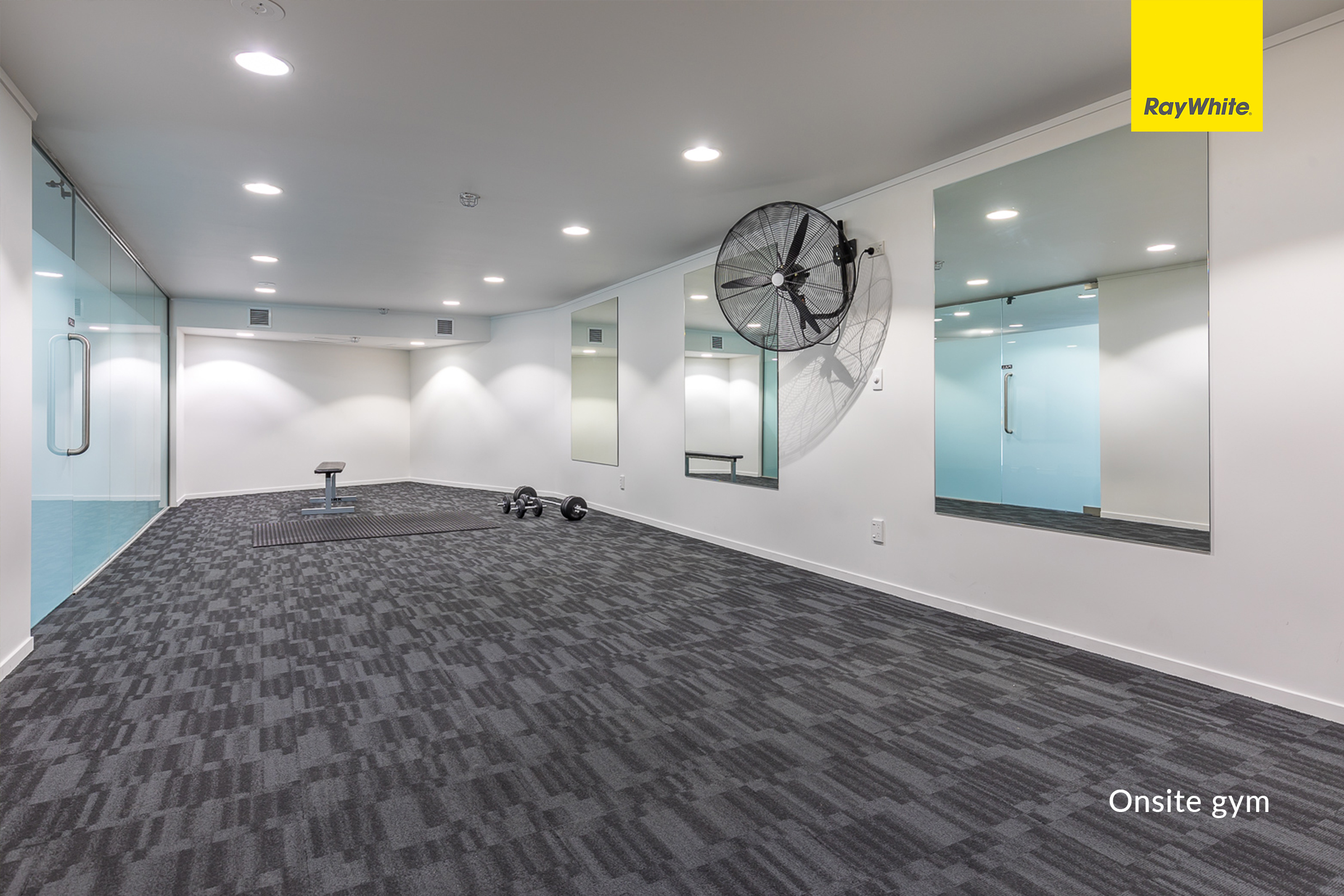 Level 12/430 Queen Street, Auckland Central, photo 14