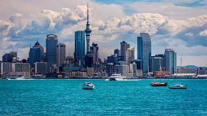 12月23日新西兰房地产与财经新闻汇总-自贸协定开启新篇章，光伏巨头轰然倒下，股市涨跌互现