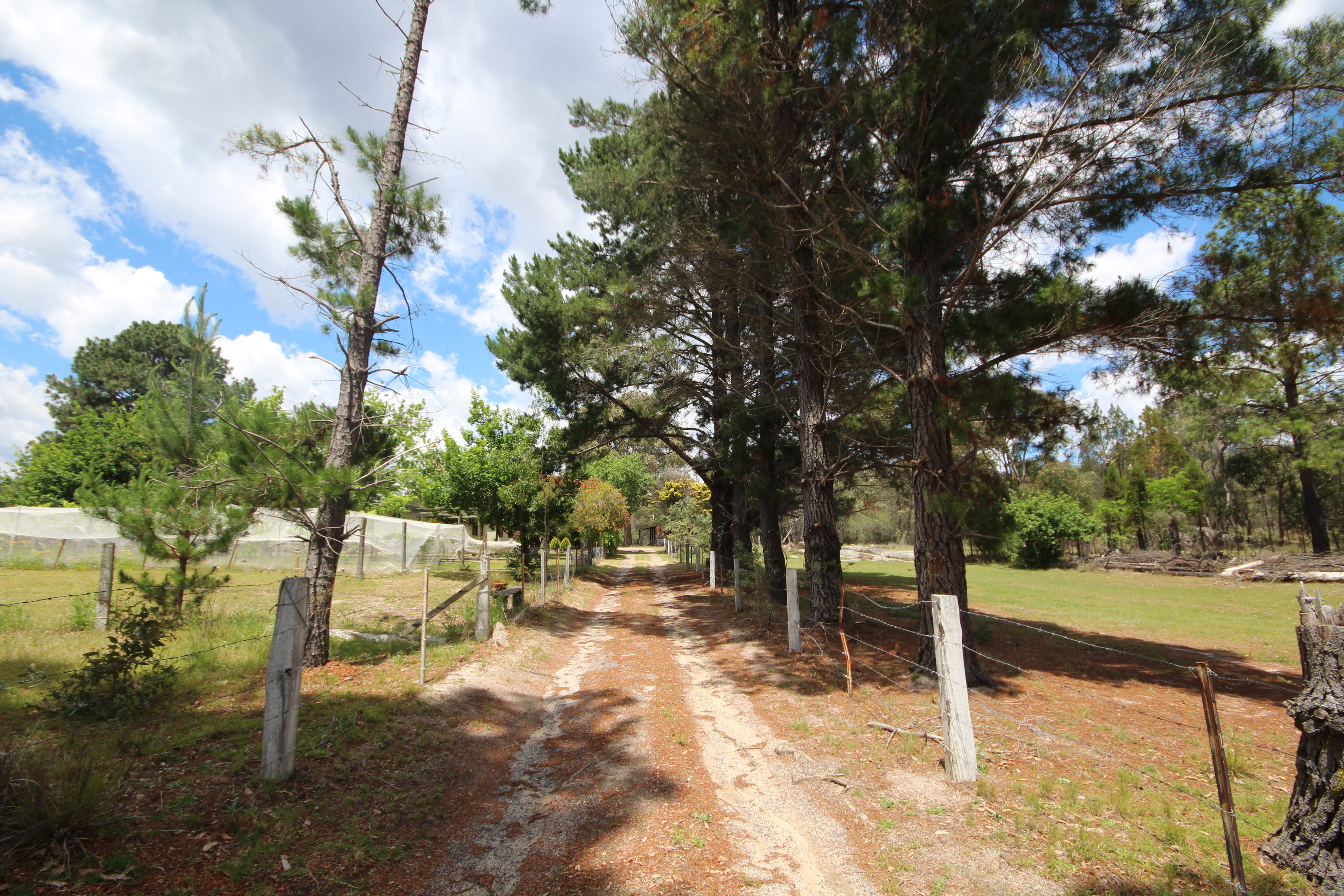 387 THORNDALE RD, THORNDALE QLD 4380, 0部屋, 0バスルーム, House