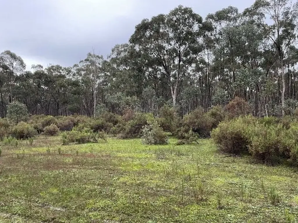Wellsford  Seeking a bushland retreat?