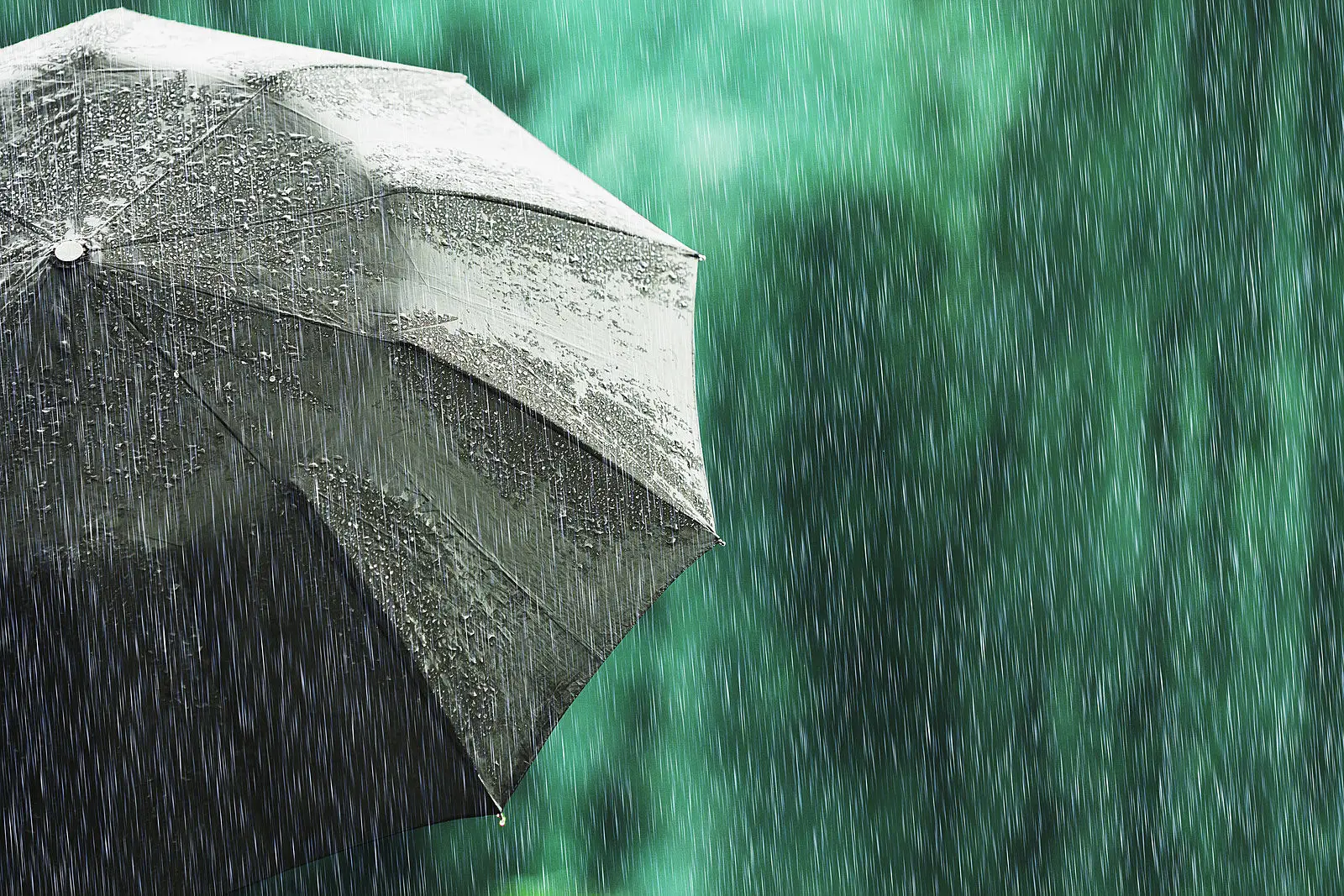 大范围降雨来了！出行注意，奥克兰明日将迎雷阵雨