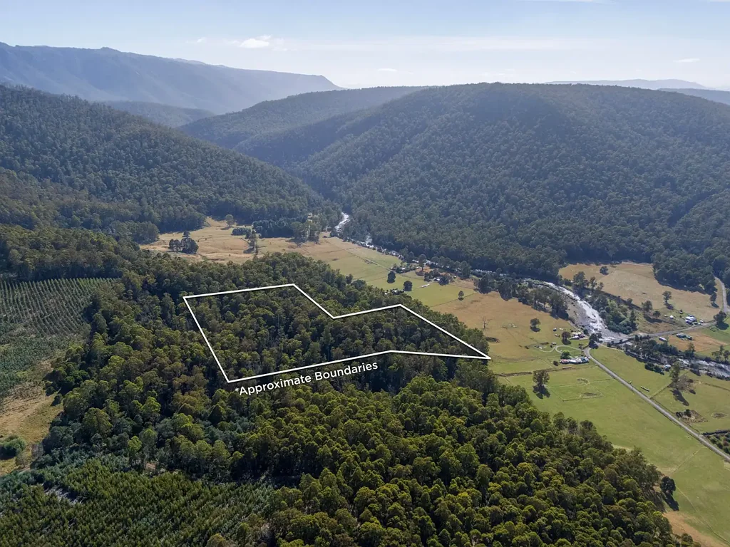 Liena  Beautiful 12.9 Hectare Bush Retreat