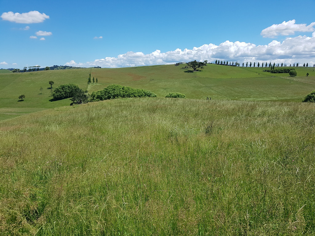 Petley Road, Paparoa, Kaipara, 0 침실, 1 욕실