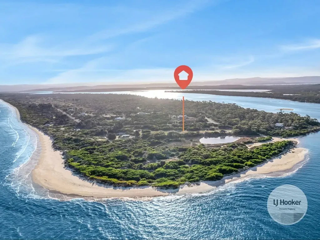 Dolphin Sands Son of a beach location