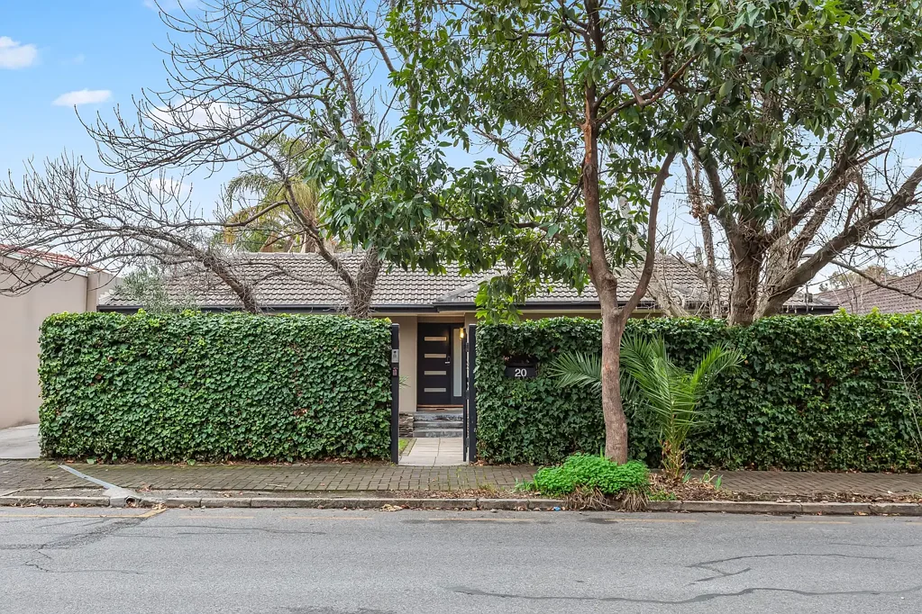 20 Talbot Grove, Heathpool, SA 5068