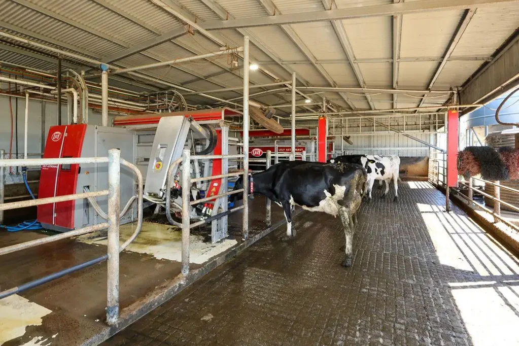 Heywood  Dairying Made Easy!