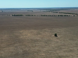 "Part Wayholme" 3331 Gingham Road, Moree