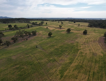 'Kaisar Hill' Fitzgerald Road, West Wyalong, Riverina, 0 Bedrooms, 0 Bathrooms, Lifestyle Property