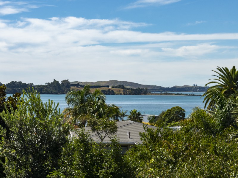 56a Harvey Street, Tauranga South, Tauranga, 6 Schlafzimmer, 0 Badezimmer