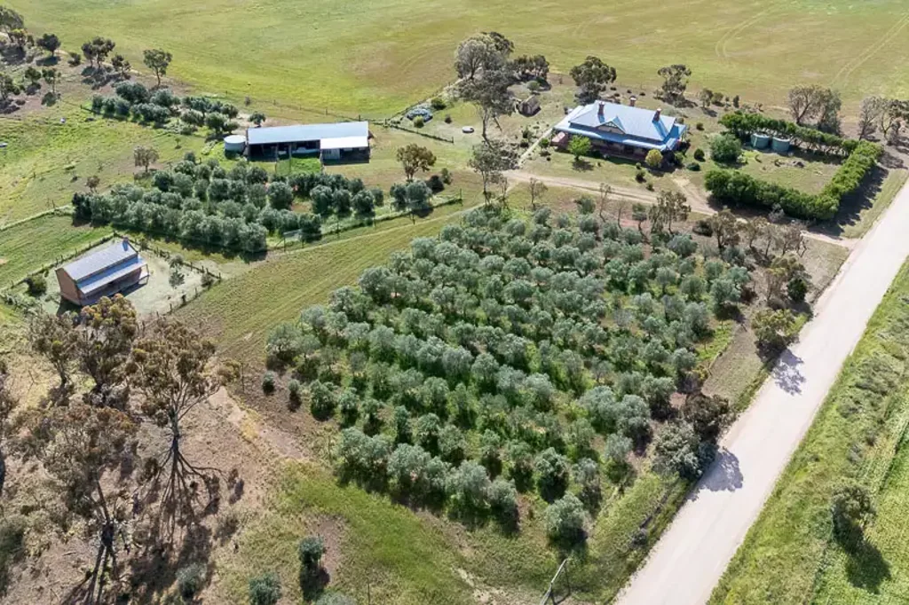 Barabba 201 Murphy Road Barabba
