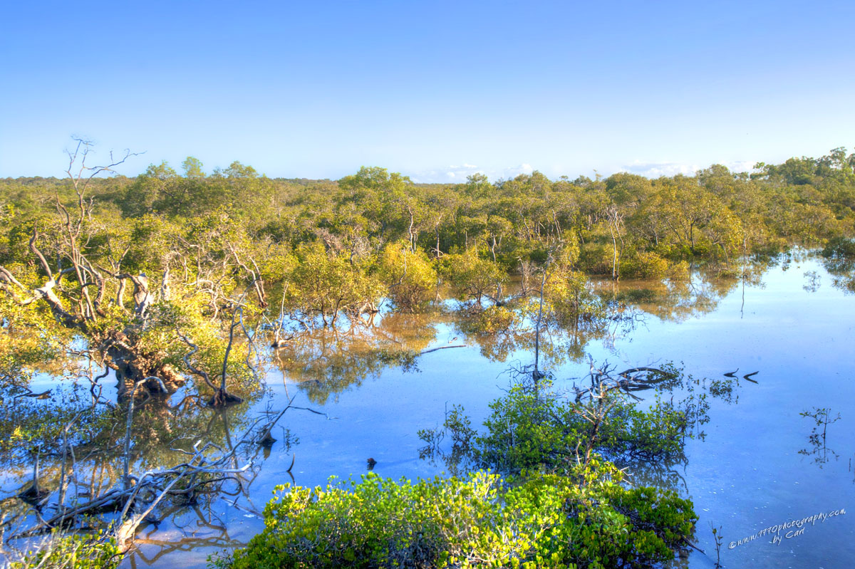 90 MASTHEAD DR, AGNES WATER QLD 4677, 0房, 0浴, House