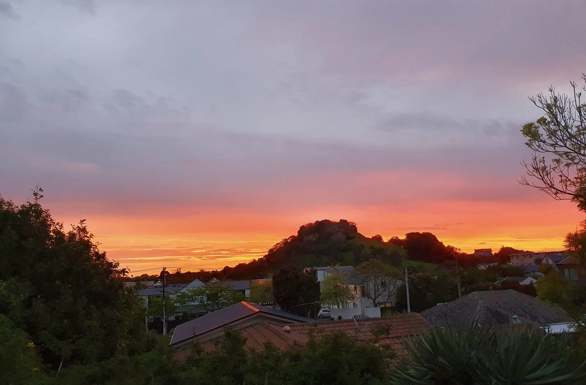 Three Kings 2 Slaapkamer Modern Living in the Heart of Mount Eden