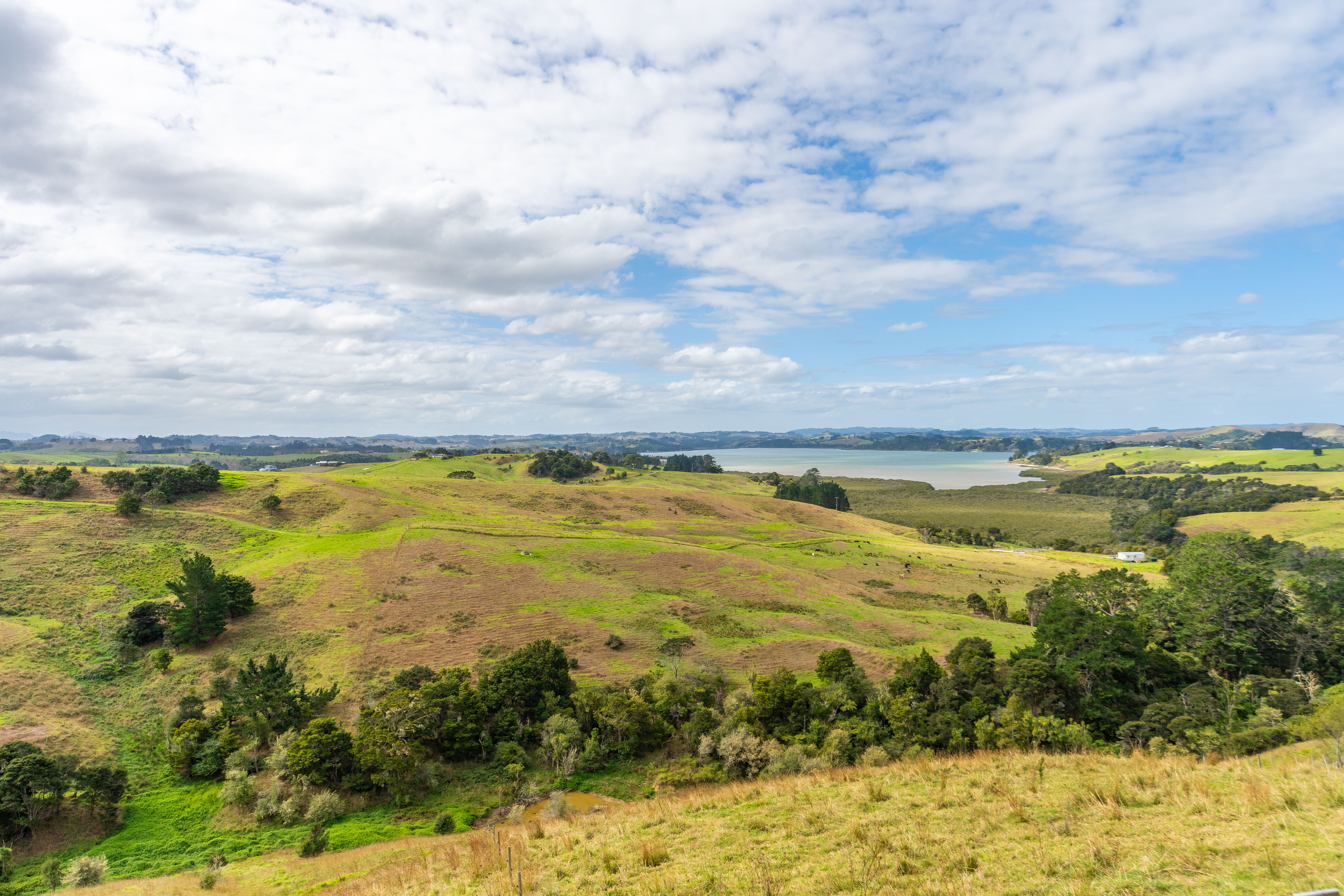 165 Hall Road, Tinopai, Kaipara, 0 ਕਮਰੇ, 0 ਬਾਥਰੂਮ