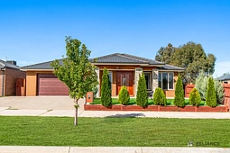 38 Borrowdale Road, Harkness