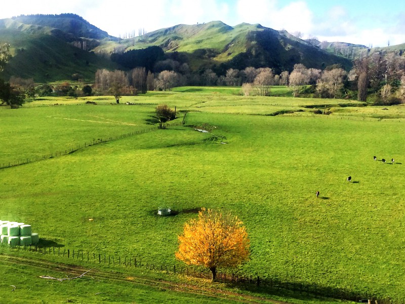 South Highway 38, Wairoa Country, Wairoa, 0 Schlafzimmer, 0 Badezimmer