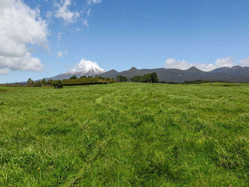 54 Korito Road, Korito, New Plymouth, 52 Kuwarto, 0 Banyo