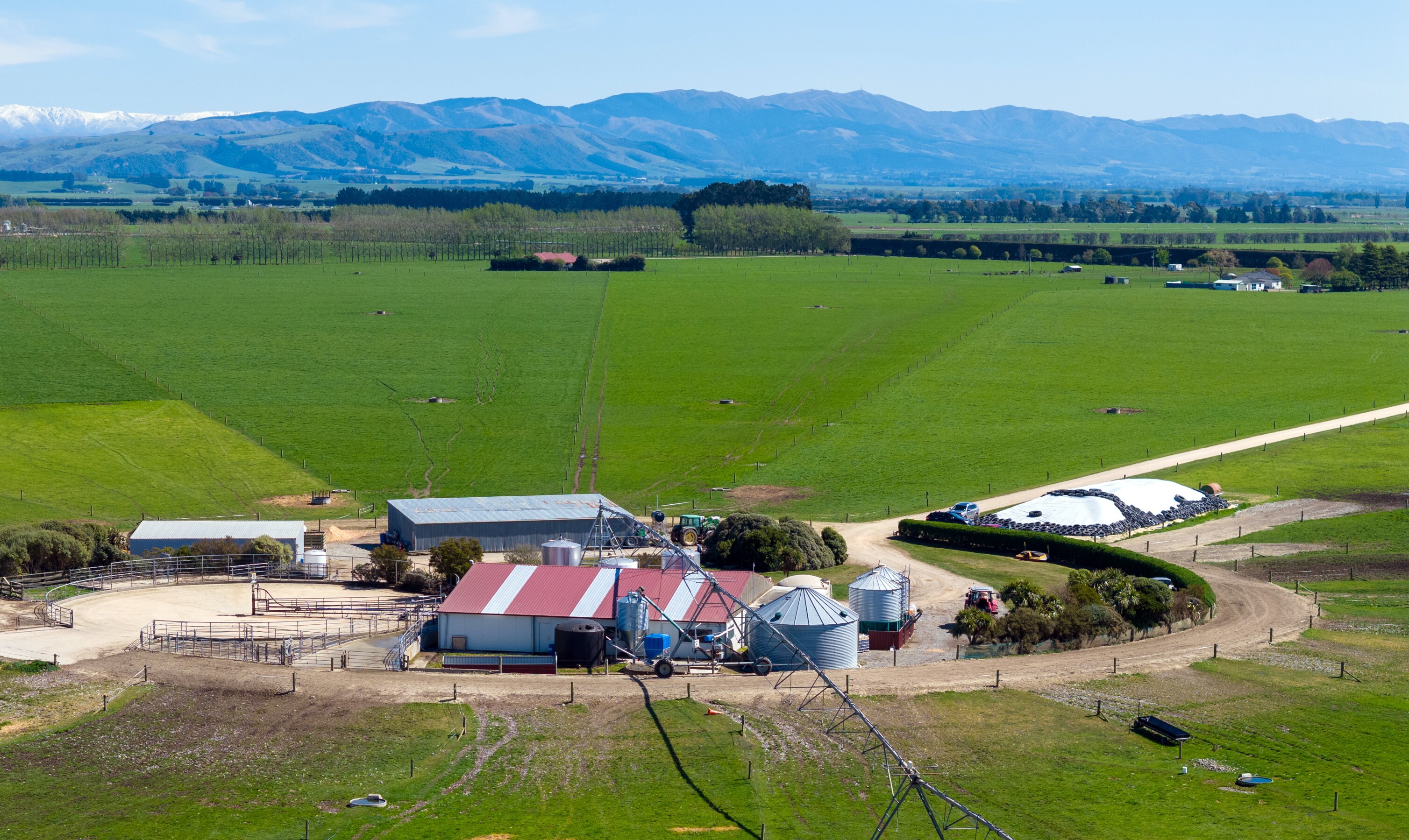 310 Morris Road, Morven, Waimate, 0 રૂમ, 0 બાથરૂમ, Dairy