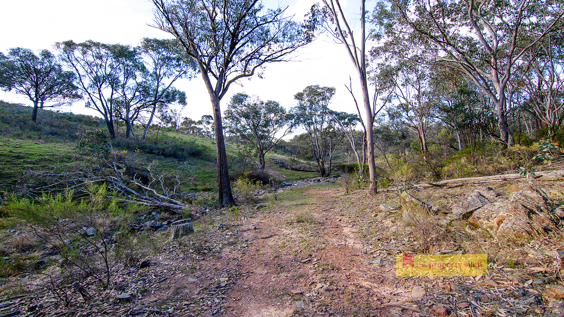 96 SORATA LANE, WINDEYER NSW 2850, 0 ਕਮਰੇ, 0 ਬਾਥਰੂਮ, Lifestyle Property