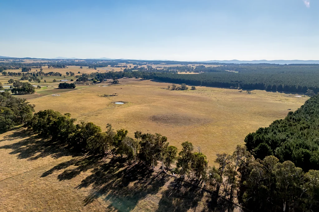 Tumbarumba Prime Grazing or The Home of your Dreams?
